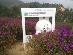 -清远熹乐谷温泉度假酒店