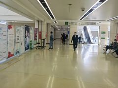 -深圳大学总医院