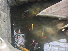 -北京植物园-展览温室