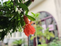 -中国蓝印花布馆