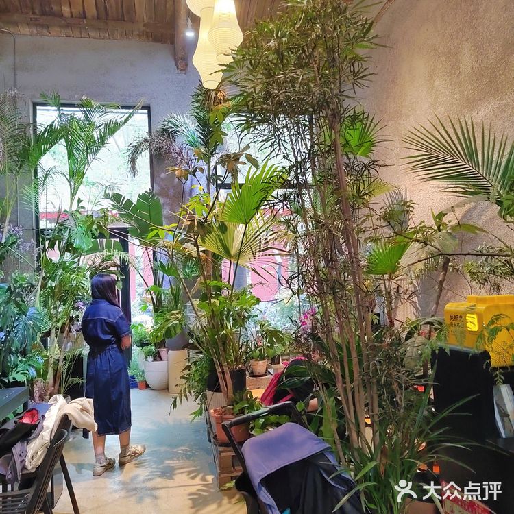 很有温度的一家小店，感觉进了植物馆了