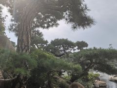 -罗红摄影艺术馆