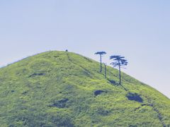 -萍乡武功山风景名胜区