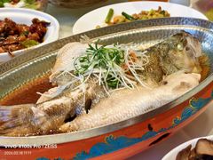 -老广酒楼(樱花店)
