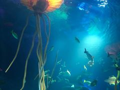 -沈阳海洋探索中心