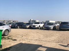 -上海浦江郊野公园-2号停车场