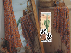 门面-邮葭