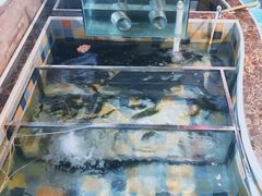 水产区-缘福乡村铁锅炖民宿(八达岭店)