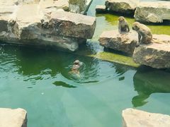 -无锡动物园·太湖欢乐园