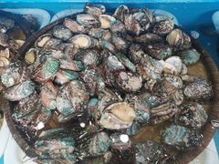 -港畔赶海蒸汽海鲜烧烤自助(仙螺岛店)