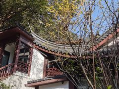-十八棵（老龙井）御茶园(老龙井店)