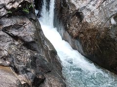 -广州白江湖森林公园