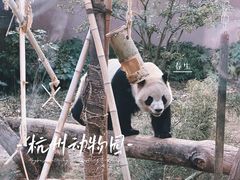 -杭州动物园
