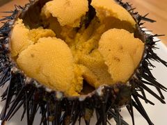 -海胆小馆(东北水饺·春柳店)