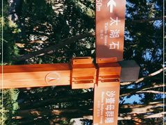 -南诏风情岛