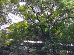 -广州兰圃
