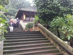 -峨眉山报国寺