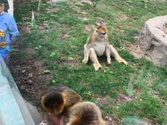 -西安秦岭野生动物园