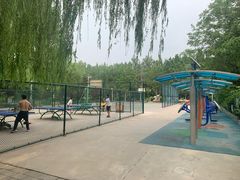 -廊坊文化艺术中心