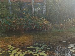 -苏州太湖国家湿地公园