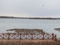 -丁香湖公园