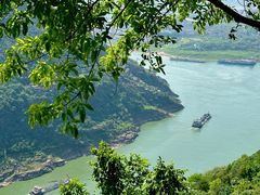 -铁山坪森林公园