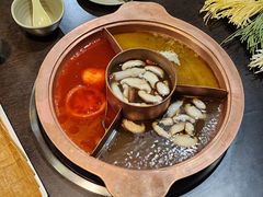 -滇釜火锅·能喝汤的火锅(车公庄店)
