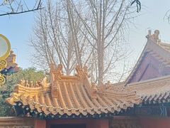 -戏马台景区