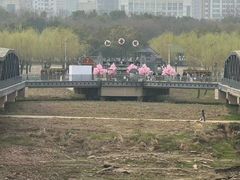 -武汉知音号