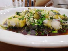 -全乐鱼馆·淳牌有机鱼直营店