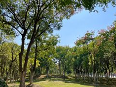 -滨湖塘西河公园
