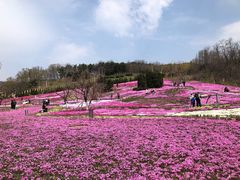 -棒棰岛宾馆景区