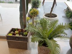 -喜茶(珠海华发商都店)