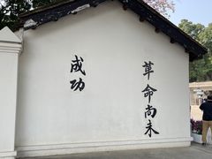-长洲岛
