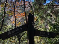 -东天目山风景区