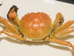 -厦门艾美酒店·新食谱西餐厅