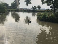-鹅湖玫瑰文化园