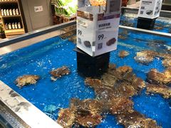 -盒马鲜生(龙德广场店)