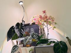 -本無咖啡·BeanWood Coffee