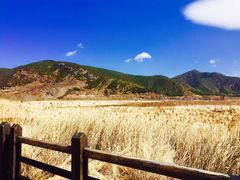 -泸沽湖国家级风景名胜区走婚桥