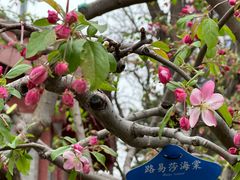 -元大都城垣遗址公园