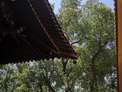 -亭林园-华藏寺