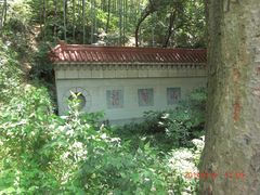 -上海佘山国家森林公园西佘山园