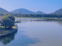 -风云岭森林公园