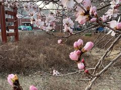 -长春市南湖公园