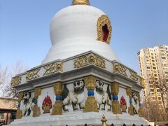 -护国法轮寺