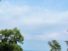 -缙云山景区