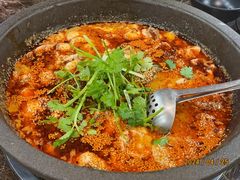 -灶知轩湘西石锅鱼(万佳广场店)