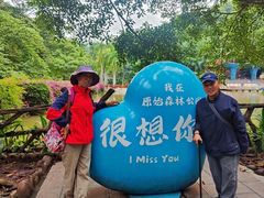 -西双版纳原始森林公园