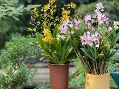 -The Flowers Coffee(南山店)